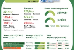 Тренди на ринку зернових та олійних з 15 по 22  грудня, – AgroMarket UUB