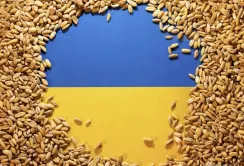 Україна експортувала майже 13 мільйонів тонн зерна з початку сезону