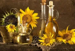 Євросоюз скоротив імпорт основних олійних культур та продуктів їх переробки