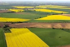 Підсумки Земельного банку за тиждень: понад мільйон гривень за суборенду державних земель
