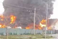 Ціни на соняшник в Україні обвалились після удару по терміналу в порту Південний