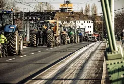 Європейські фермери знову протестуватимуть у Брюсселі: вимагають змін у політиці ЄС