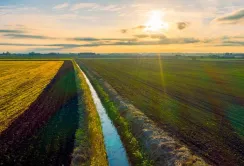 Україна та Молдова у світових лідерах за площею сільгоспугідь