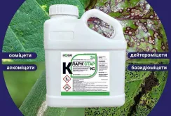 Інноваційний фунгіцид КЛАРК СТАР у портфелі засобів захисту рослин IFAGRI від «Ерідон»