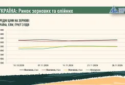 Підсумки листопада на ринку зернових та олійних, – AgroMarket UUB