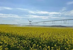 Підсумки зрошувального сезону 2025: водою забезпечено понад 40 тисяч гектарів полів