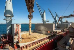 Залізничні та морські перевезення агропродукції зросли у грудні