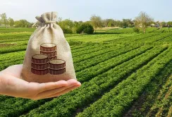 Державний земельний банк увійшов до переліку великих платників податків