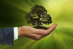 Екологічні зміни 2025 року: ключові результати