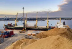 Експорт агропродукції в січні: морські порти виходять на перший план