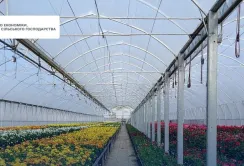 ДО 10 МЛН ГРН НА САДИ І ДО 7 МЛН ГРН НА ТЕПЛИЦІ: МІНЕКОНОМІКИ ВІДНОВЛЮЄ ГРАНТОВУ ПІДТРИМКУ АГРАРІЇВ