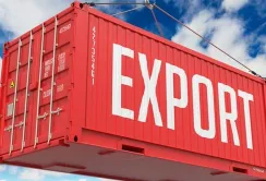 Уряд затвердив переліки товарів для ліцензування та квоти на 2026 рік