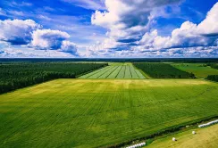 Ринок землі у 2025 році перейшов до стабільної та прогнозованої моделі розвитку