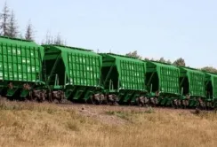 Залізниця скоротила перевезення зерна у 2025 році