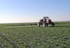 Tekom Agro Group планує на 2026 рік впровадження нішевих культур та діджиталізацію процесів