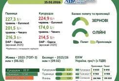 Тренди на ринку зернових та олійних з 9 по 15 лютого 2026 року