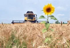 Україна та Іспанія визначили пріоритети для відновлення аграрного сектору