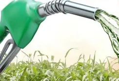 Експорт українського біоетанолу у 2025 році зріс майже на 12%