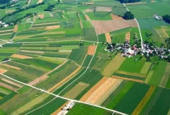 Земельні відносини у 2026 році: на що звернути увагу аграріям