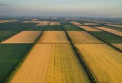 Як вигідно купити земельний пай: поради інвесторів та актуальні ціни на оренду