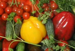 BASF Agricultural Solutions в Україні та ТОВ «Бадваси» оголошують про партнерство у сегменті дрібного фасування ЗЗР для присадибного сектору 