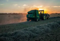 Аграрії Миколаївщини сплатили понад 110 млн грн єдиного податку