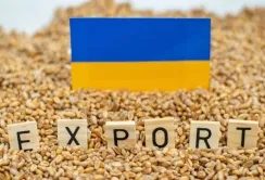 Підсумки експорту агропродукції у лютому
