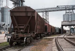 Залізниця наростила перевезення зерна на чверть порівняно з минулим роком