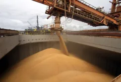 Астарта у 2025 році експортувала продукцію до 48 країн світу