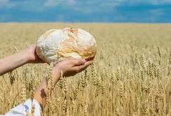 В Україні розвиватимуть систему банків продовольства для зменшення харчових втрат
