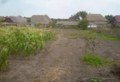 Сільське господарство залишається рятівним колом для жителів прифронтових областей