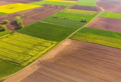 Ринку землі в Україні виповнилося майже 5 років: обсяг угод перевищив мільйон гектарів