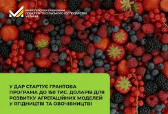 Стартує грантова програма для розвитку агрегаційних моделей у ягідництві та овочівництві