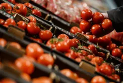 Ціни на тепличні помідори продовжують зростати