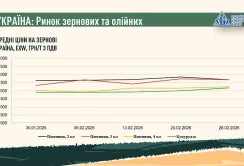 Підсумки лютого на ринку зернових та олійних