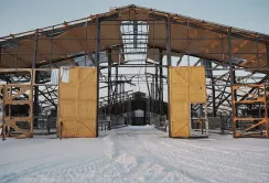 Через обстріли на Харківщині пошкоджено 67 тваринницьких ферм та знищено 90 тисяч голів худоби