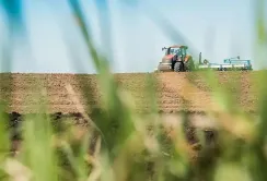 Ярими культурами засіяно вже понад 460 тис. га