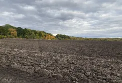Підсумки тижня у Земельному банку: на аукціонах передали в оренду понад 600 гектарів