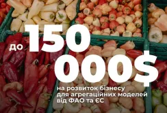 Агрегатори овочів та ягід можуть отримати гранти від ФАО та Євросоюзу