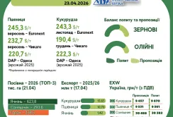Тренди на ринку зернових та олійних з 17 по 23 квітня