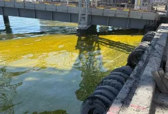 Через обстріл у порту Чорноморська стався розлив соняшникової олії