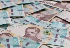 Держава компенсуватиме до 60% вартості страхування воєнних ризиків для агровиробників