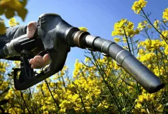 Світовий попит на рослинні олії для виробництва біодизеля рекордно зросте у 2026 році