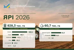 Посівна 2026: засіяно майже мільйон гектарів ярих зернових
