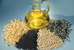 Євросоюз скоротив імпорт олійних культур та продуктів переробки у сезоні 2025/26