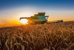 Сільськогосподарське виробництво в Україні за перший квартал 2026 року зросло на 1,2%
