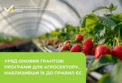 Уряд оновив грантові програми для агросектору, наблизивши їх до правил ЄС