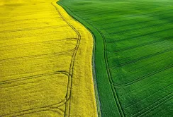 Ринок землі в Україні: чому інвестиції в агросектор показують понад 20% річного приросту