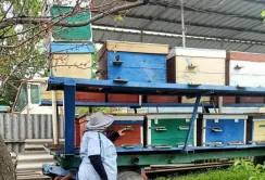 Здорові бджоли – якісний мед: на Херсонщині підбили підсумки весняної ревізії пасік