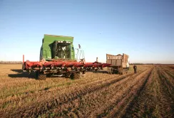 Agrohub оцінив ефективність агровиробництва у сезоні 2025: прогнозний EBITDA становить 410 $/га